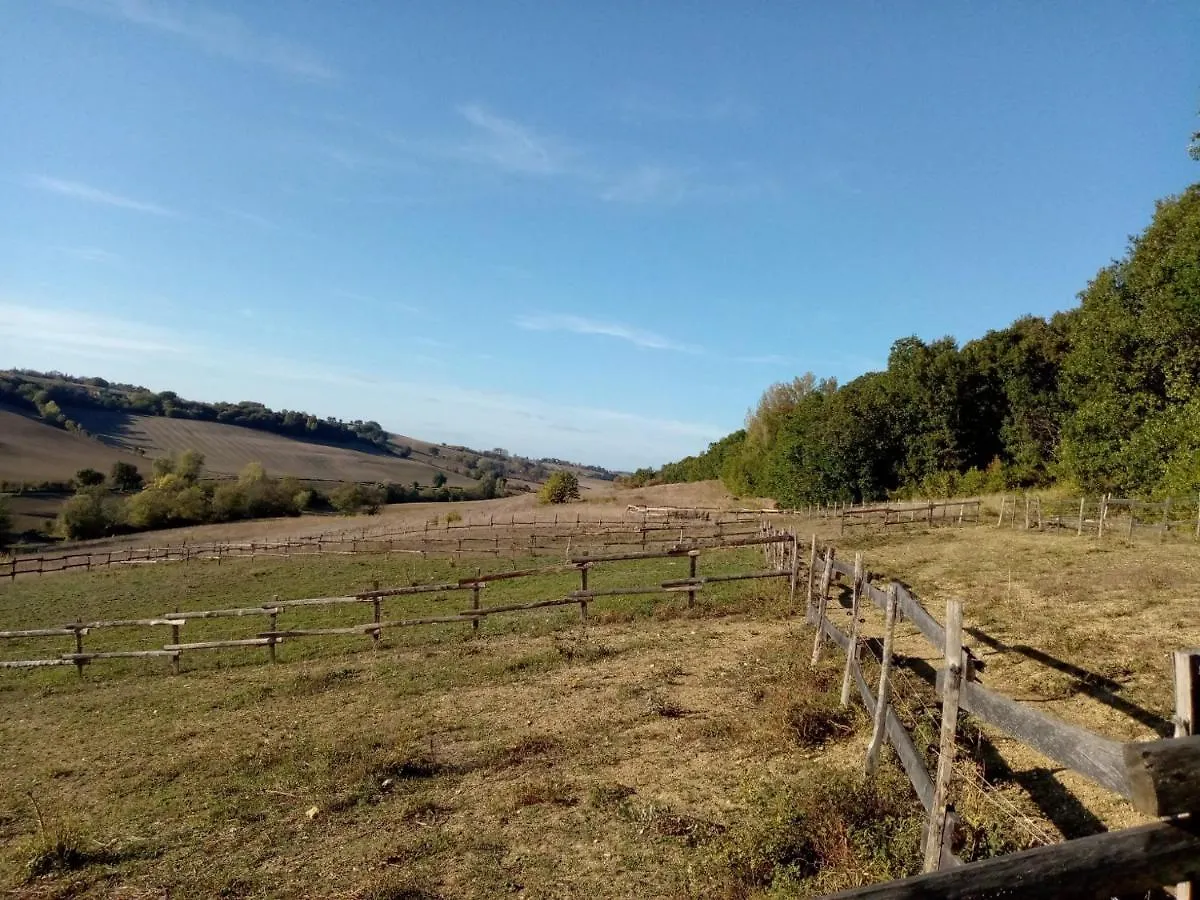 Grand Gite Les Cabanes De Fallot Pour 19 Personnes - Piscine Naturelle